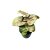 Syngonium podophyllum 'Maria Allusion' (mini)