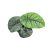Alocasia melo (mini)