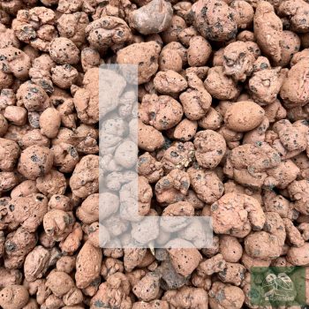 Agyaggolyó 5 liter (L)