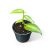 Vanilla planifolia 'Aurea-Variegata' mini (Inplanted)