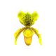 Paphiopedilum insigne