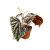 Begonia filiformis Irmsch.