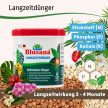 Blusana tápsó (200-500 ml)