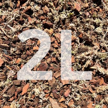 Inplanted mix 2L - Hoyas