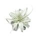 Tillandsia xerographica