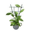 Növénylétra, viráglétra 37-50 cm (zöld)