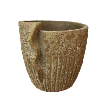 Betonkaspó (kagyló)