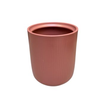 Orchideakaspó (korall)