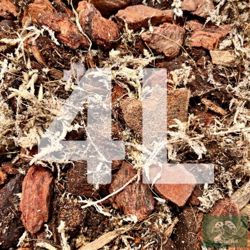 Inplanted mix 4l - Páfrányoknak, anthuriumoknak, orchideáknak