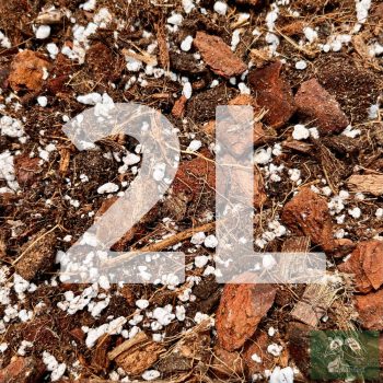 Inplanted mix 2L - Aroids & Common houseplants