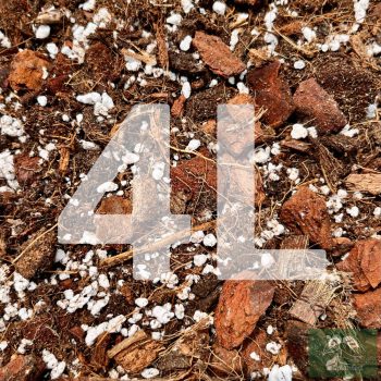 Inplanted mix 4l - Aroids & Common housepants